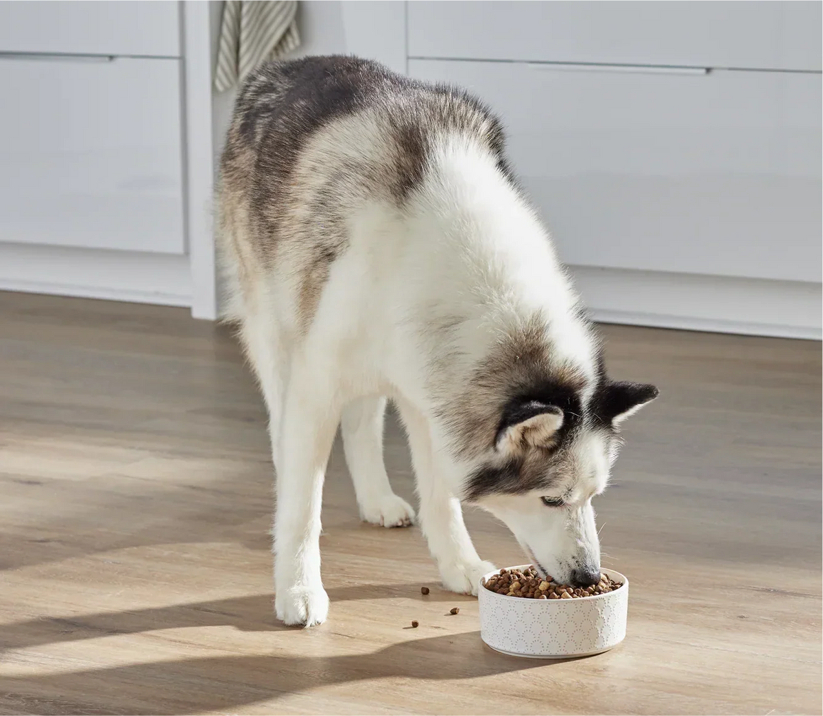 RawMix Open Prairie Ancient Grains Dog Kibble