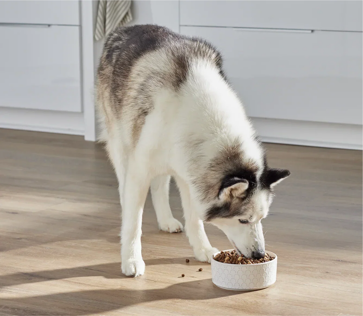 RawMix Large Breed Ancient Grains Dog Kibble