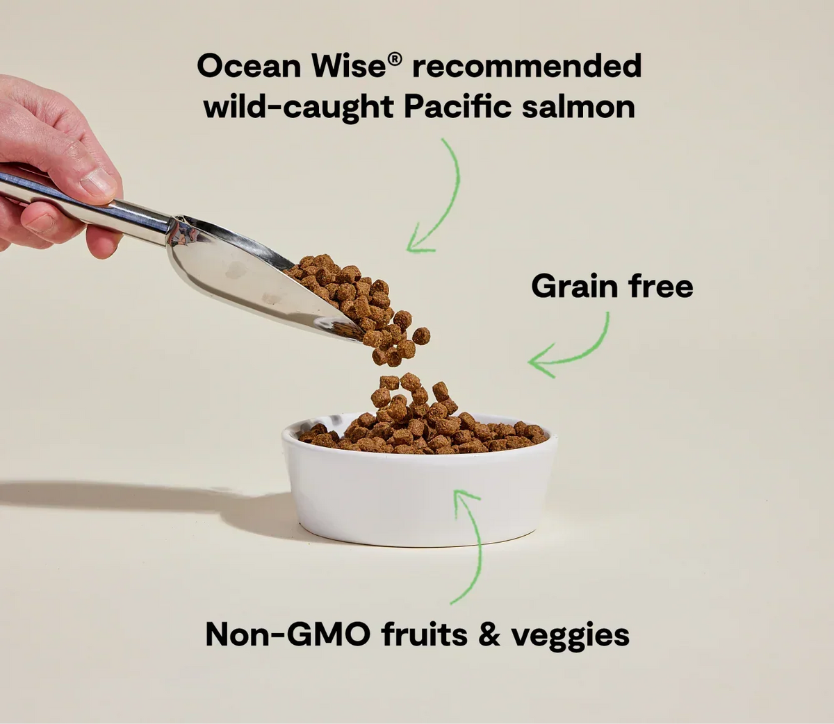 Wild-Caught Salmon Grain-Free Dog Kibble