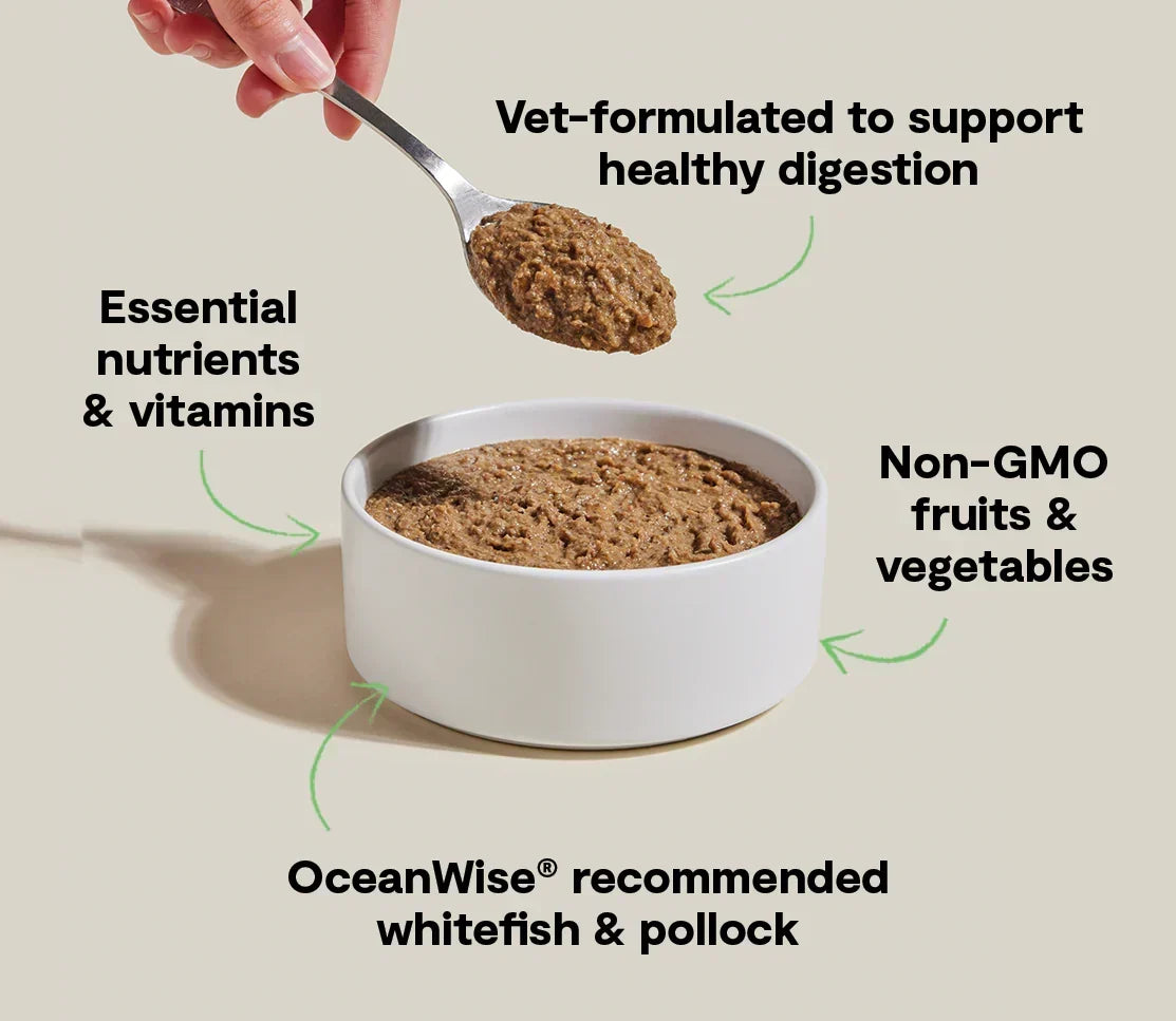 Wild-Caught Whitefish & Pollock Digestive Health Pâté for Cats