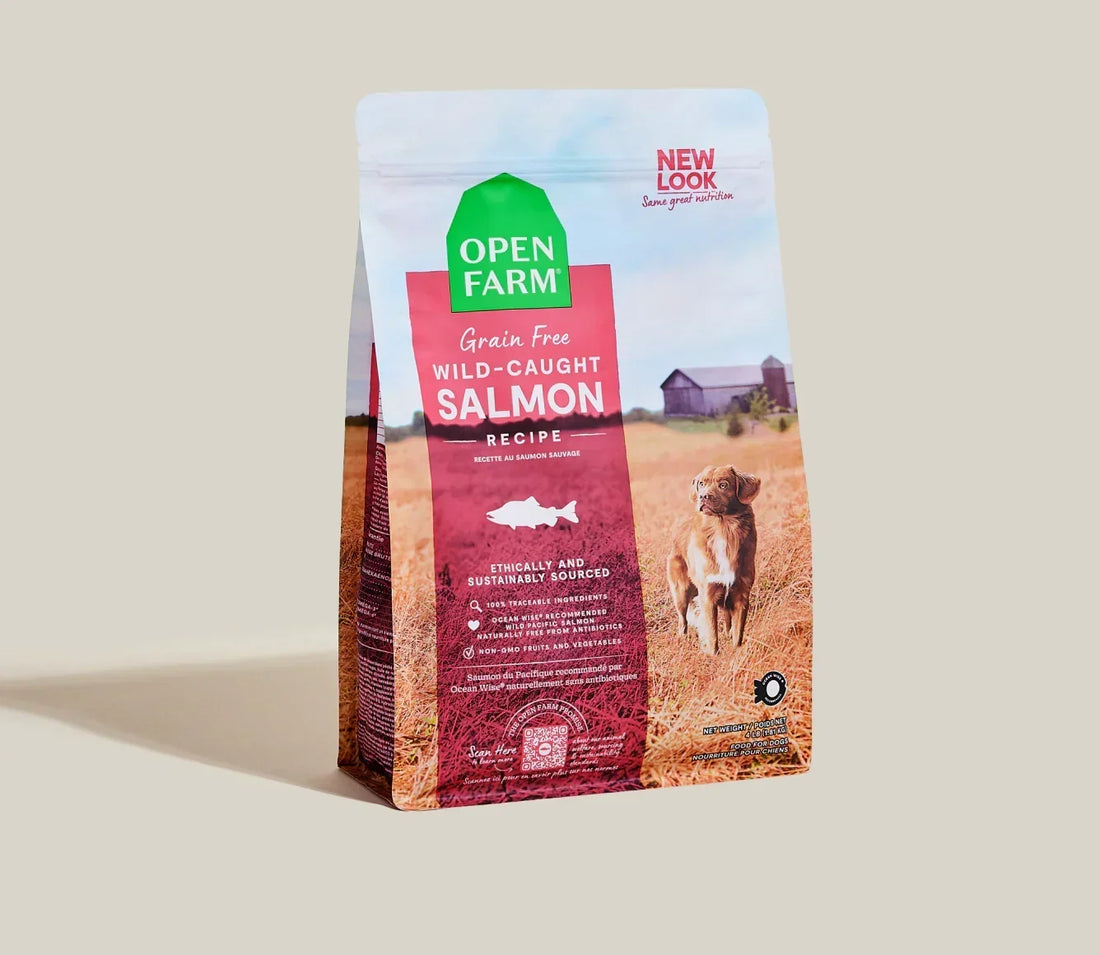 Wild-Caught Salmon Grain-Free Dog Kibble