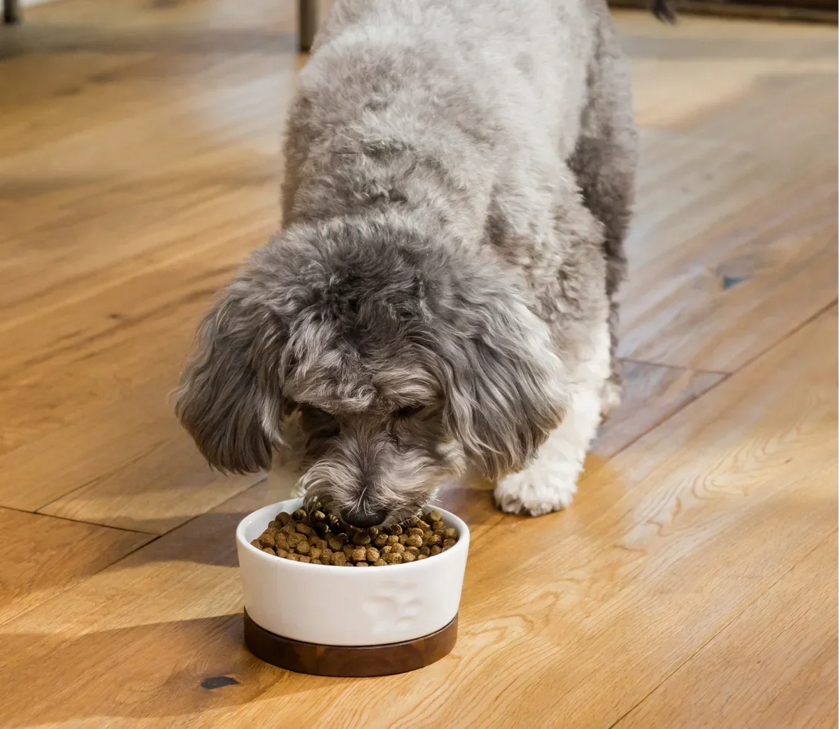 Whitefish Grain-Free Dog Kibble