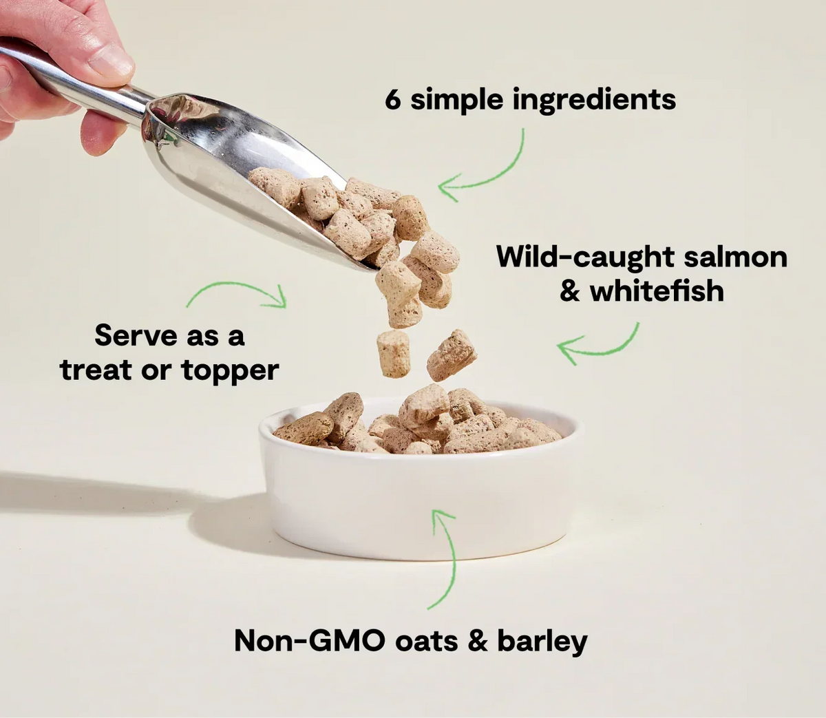 Goodbowl™ Wild-Caught Salmon Freeze Dried Raw Morsels for Dogs