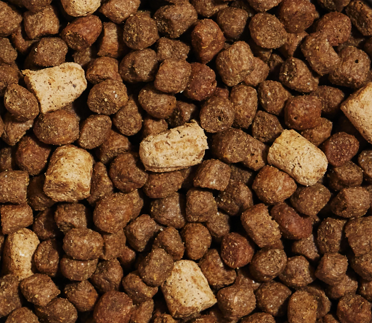 RawMix Ancient Grains Puppy Kibble