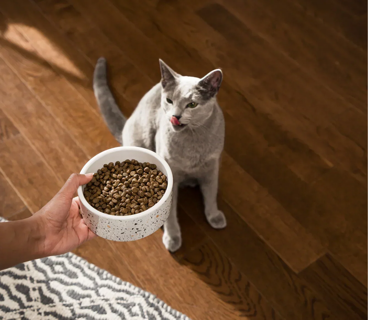 Farmstead Duck Grain-Free Cat Kibble