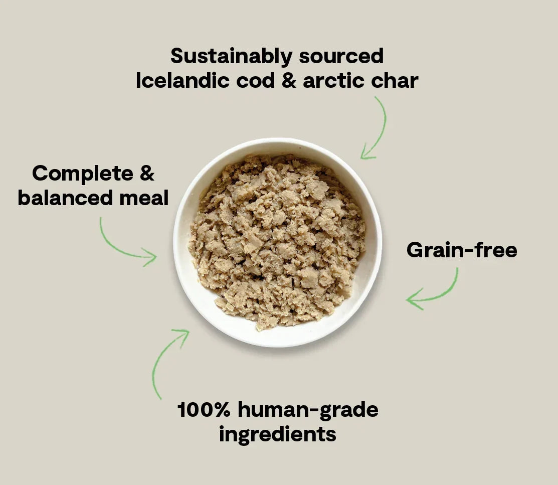Icelandic Cod & Arctic Char Wet Food for Dogs