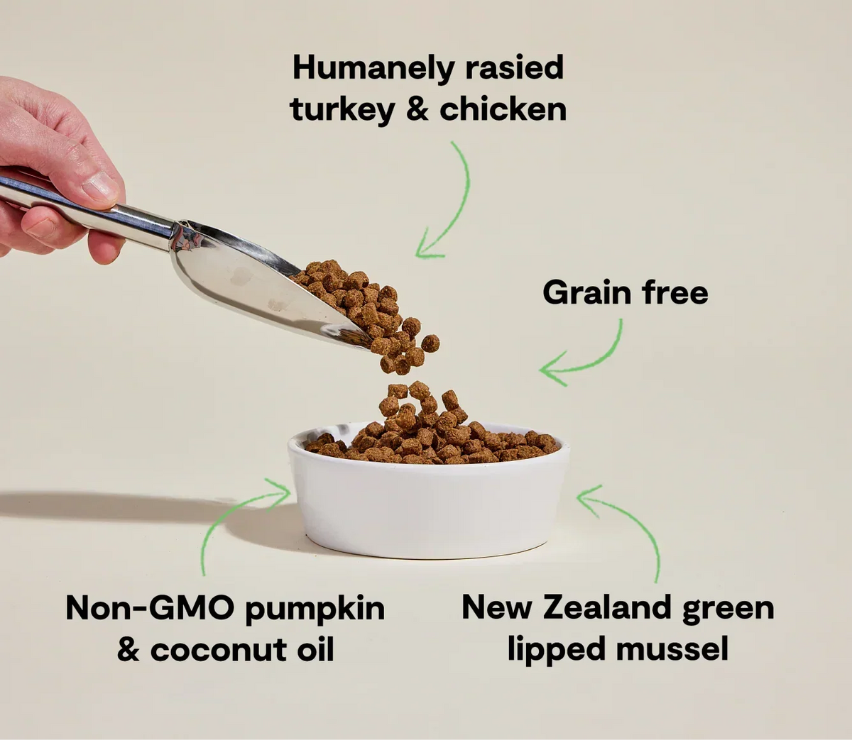 Senior Grain-Free Dog Kibble