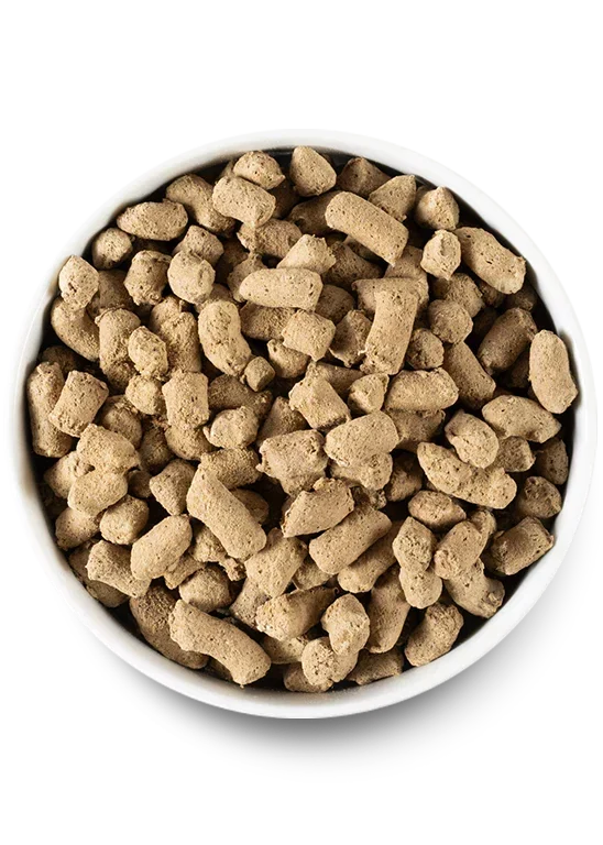 Puppy Essentials Pack
