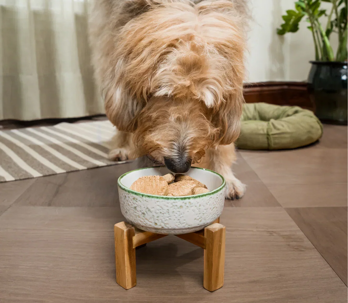 Harvest Chicken Freeze Dried Raw Patties for Dogs