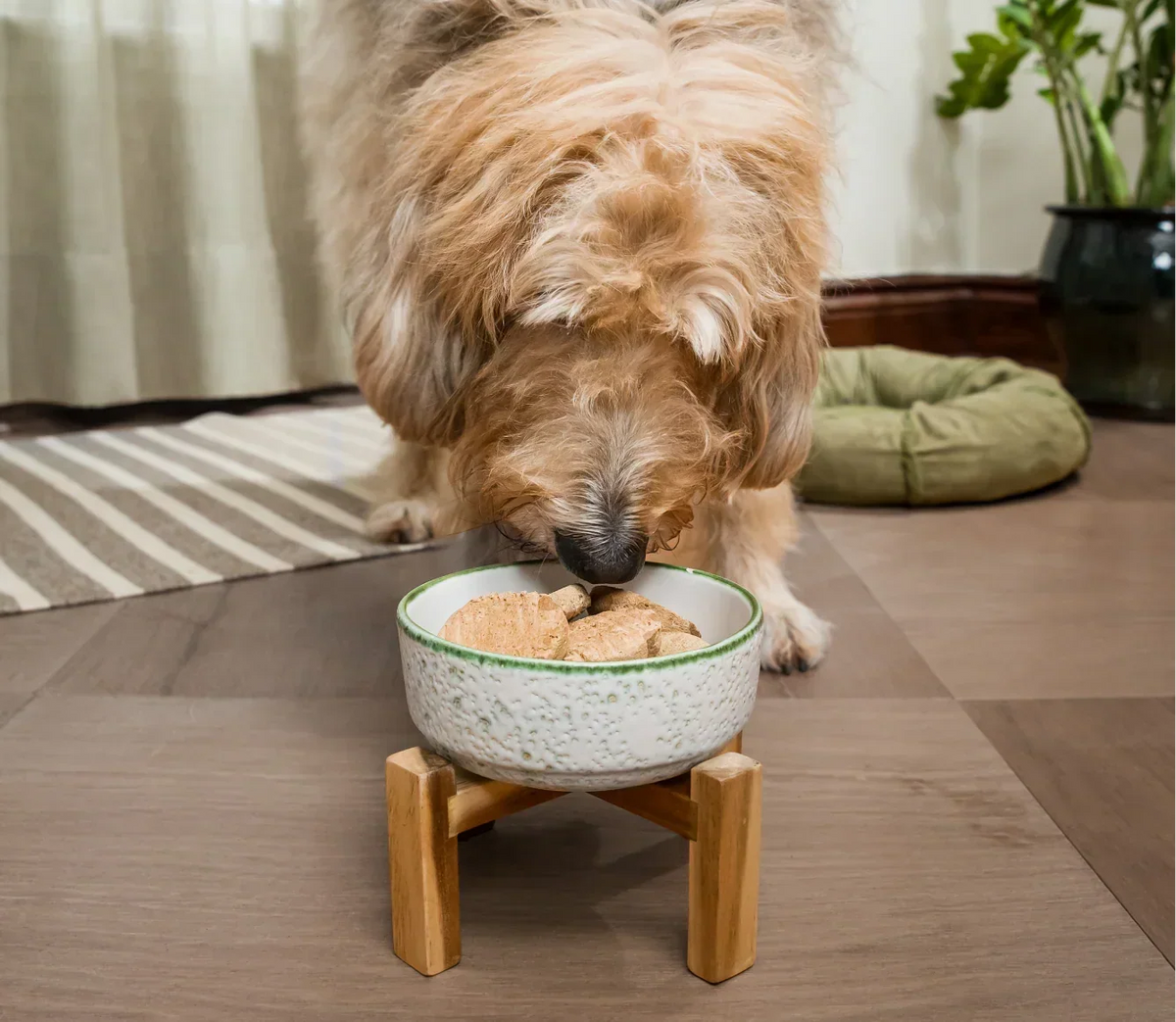 Homestead Turkey Freeze Dried Raw Patties for Dogs
